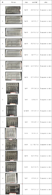 কাস্টম PET vial tray for 1ml~10ml water injection vials, কাস্টম ওষুধের vial tray packaging
