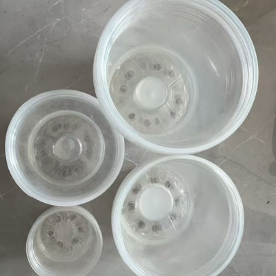 প্যালেনোপসিস ফুলের পাত্রের স্বচ্ছতা