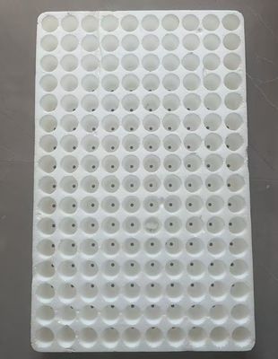 160-সেল রাউন্ড ফ্লোটিং চারা ট্রে