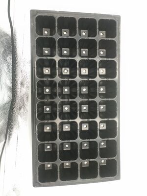 বন গাছের জন্য ২ মিমি পুরু ৩২ সেল প্লাস্টিকের বীজ বপনকারী ট্রে - বৃদ্ধির প্রতিরোধী এবং দীর্ঘস্থায়ী