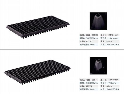 ২০০-সেল প্লাস্টিক চারা ট্রে - ২ মিমি পুরু এবং টেকসই উদ্ভিদ প্রসারের জন্য বার্ধক্য প্রতিরোধী