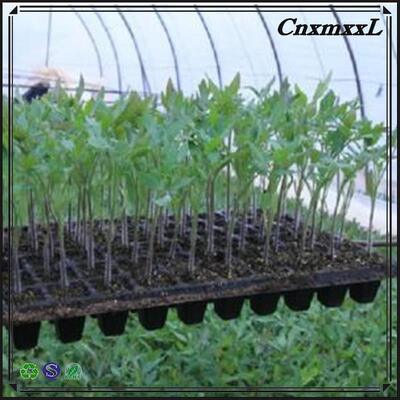 ২০০-সেল প্লাস্টিক চারা ট্রে - ২ মিমি পুরু এবং বার্ধক্য প্রতিরোধী টেকসই নার্সারি ব্যবহারের জন্য