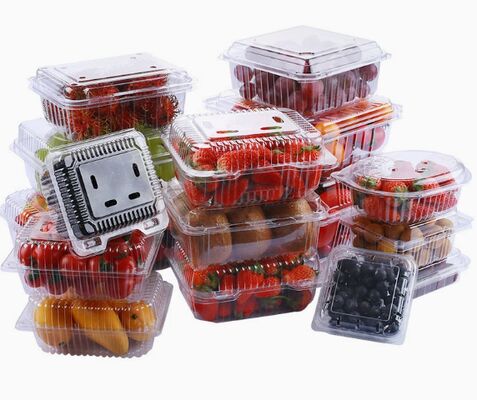 Customizable Recyclable PET Transparent Fruit Box for Perfect Protection of Grapes and Tomatoes