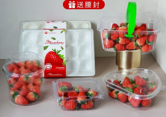Customizable Recyclable PET Fruit Packaging Box with Heat Sealing for Tomatoes and Produce