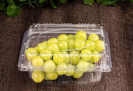 Customizable Recyclable PET Transparent Fruit Box for Perfect Protection of Grapes and Tomatoes
