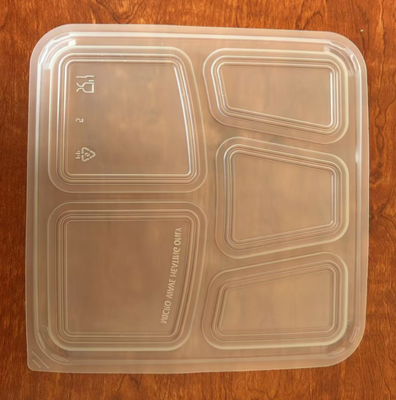 5 DIVISION PLASTIC CONTAINERCOLOR