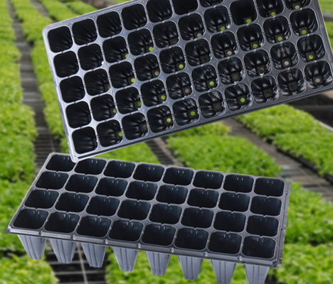 Sowing trays, forest tree sowing trays, deepening sowing trays, seedlings of succulent plants, vegetables, plastic seedling trays, sowing pot trays, cultivation pot trays