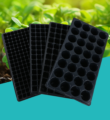 Sowing trays, forest tree sowing trays, deepening sowing trays, seedlings of succulent plants, vegetables, plastic seedling trays, sowing pot trays, cultivation pot trays
