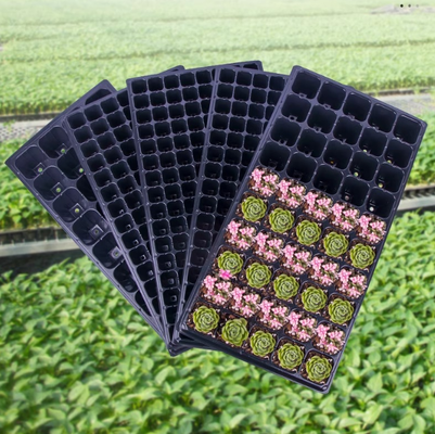 greenhouse tray,seed plug tray,nursery plug tray,hydroponic seed tray,vegetable seed tray