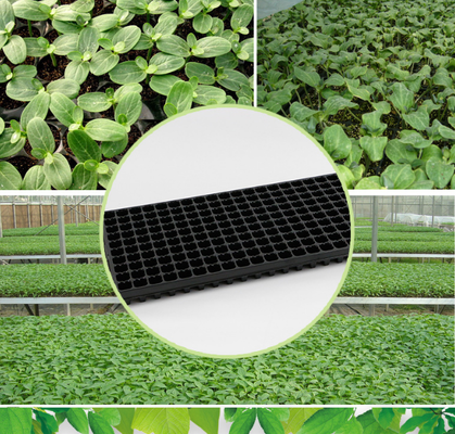 greenhouse tray,seed plug tray,nursery plug tray,hydroponic seed tray,vegetable seed tray